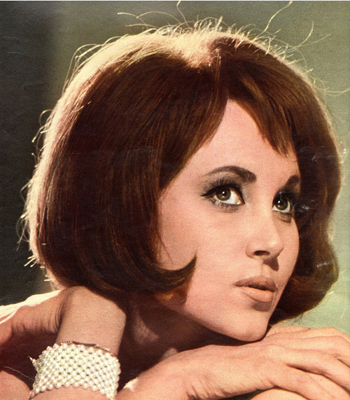 1965-sixties-look-in-srtaJara2