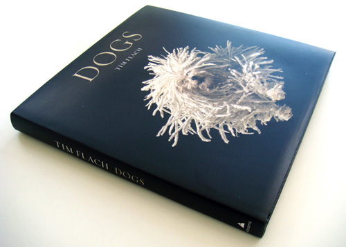 dogs-cover-Tim-in-srta-Jara