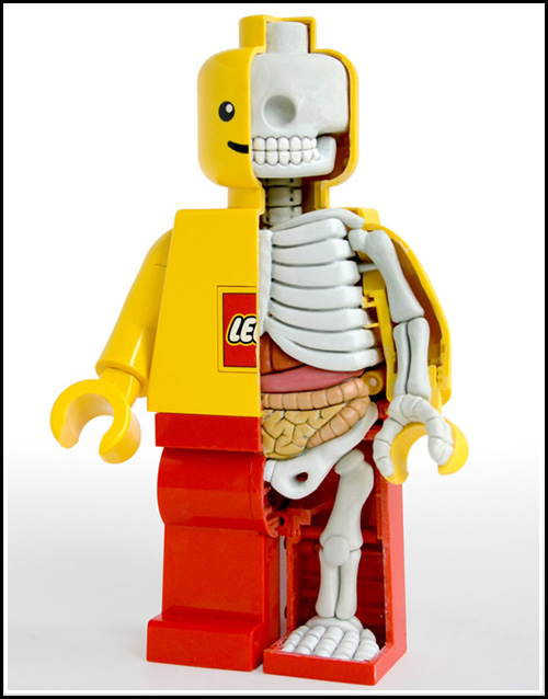 lego-esquelet